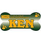 DOG HAIR STUDIO KEN